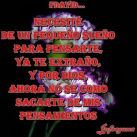 /album/fotogaleria/necesite-1-jpg/